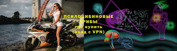 дмт Кодинск