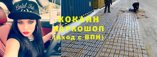 дмт Кодинск