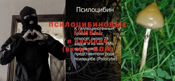 крисы Кинешма