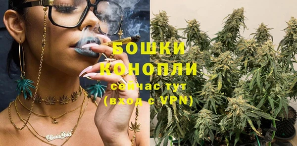 дмт Кодинск