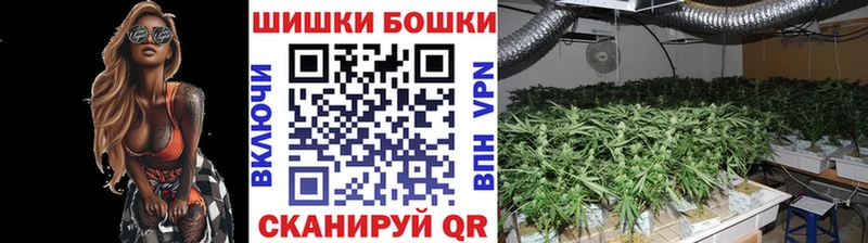 Купить  Каргат  Марихуана планчик 